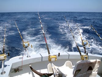 White Striker Fishing